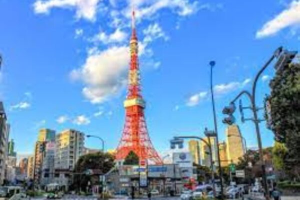 herausfordernde ganztags stadtrundfahrt in tokio
